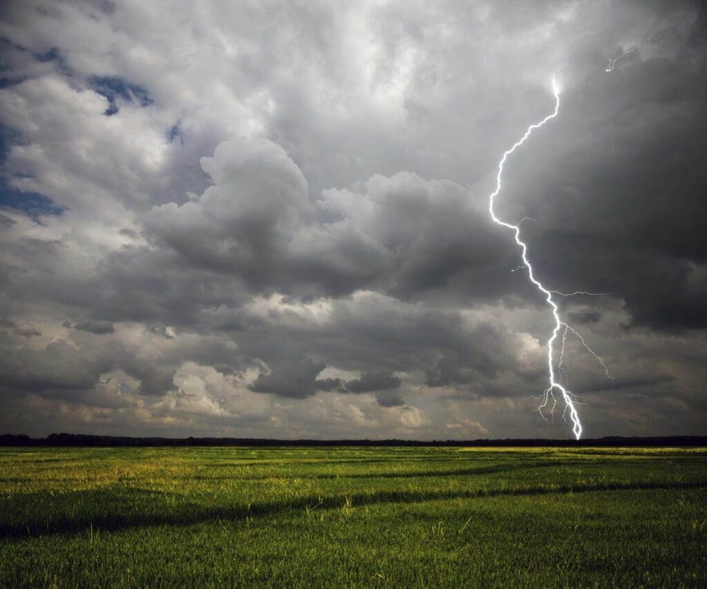 Lightning strike over green field.