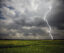 Lightning strike over green field.