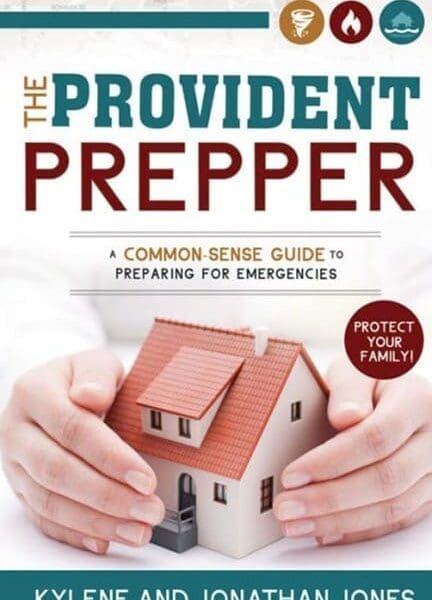 A person holding a small house in their hands.