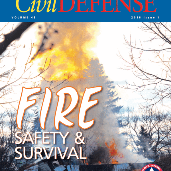 A fire is burning in the background of this cover.