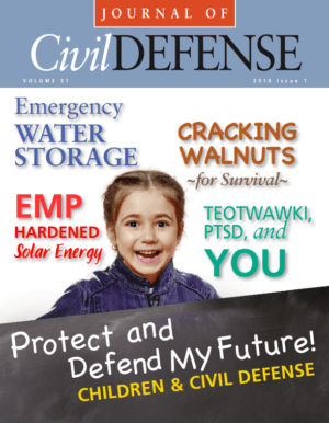 A magazine cover with the title " protect and defend my future ".