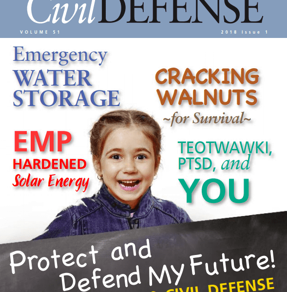 A magazine cover with the title " protect and defend my future ".