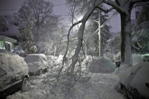 A tree that is covered in snow and ice.