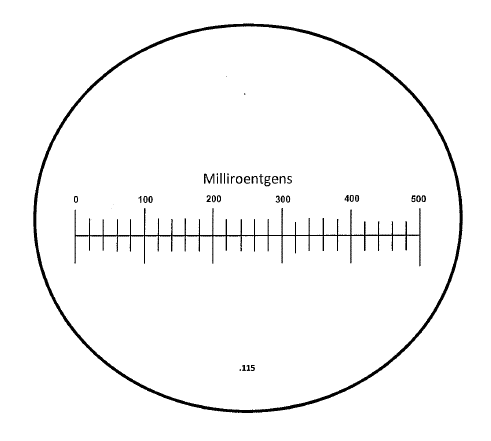 A round white plate with a ruler on it.